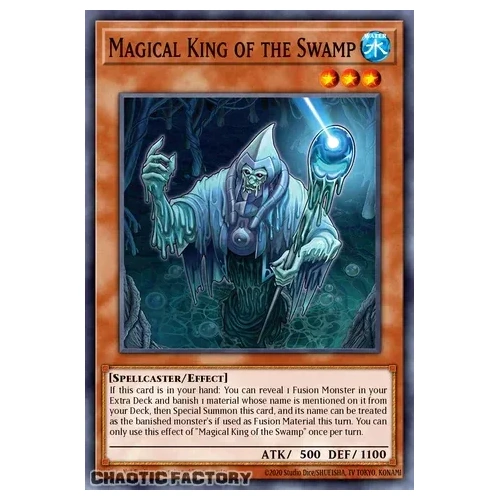 CORI-EN024 Sorcerer of the Swamp Common 1st Edition NM