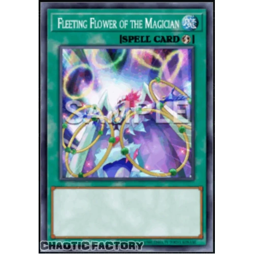 DOOD-EN089 Fleeting Flower of the Magician Common 1st Edition NM