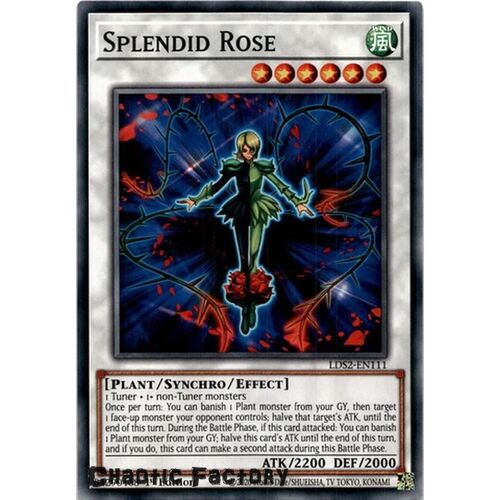 LDS2-EN111 Splendid Rose Common 1st Edition NM