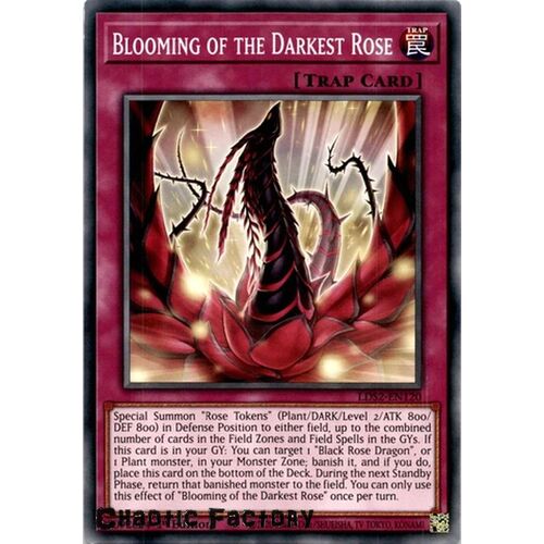 LDS2-EN120 Blooming of the Darkest Rose Common 1st Edition NM