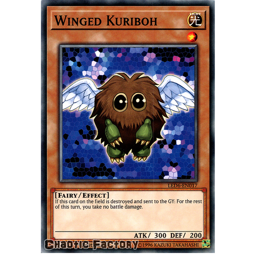 LED6-EN017 Winged Kuriboh Common 1st Edition NM