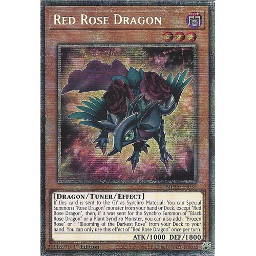 MP25-EN037 Red Rose Dragon Starlight Rare 1st Edition NM