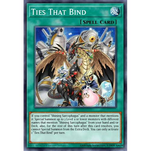 MP25-EN071 Ties That Bind Prismatic Secret Rare 1st Edition NM