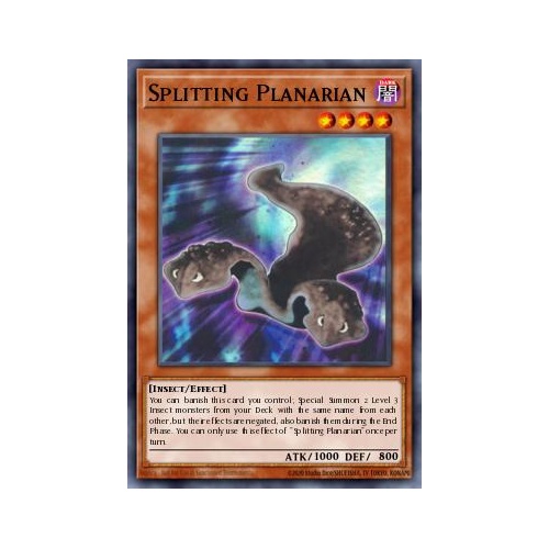 MP25-EN263 Splitting Planarian Ultra 1st Edition NM