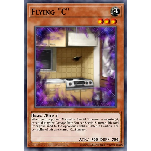 MZMU-EN078 Flying C Rare 1st Edition NM