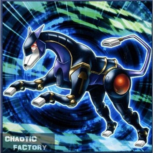 Yugioh EXFO-EN003 Striping Partner Common  