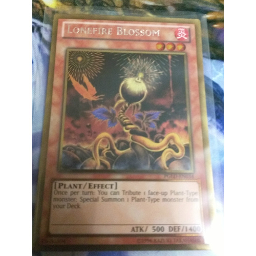 Yugioh - Lonefire Blossom Gold Rare - PGLD-EN034 MINT