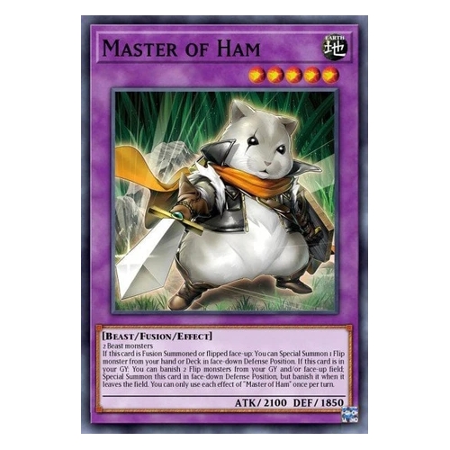 PHNI-EN040 Master of Ham Common 1st Edition NM