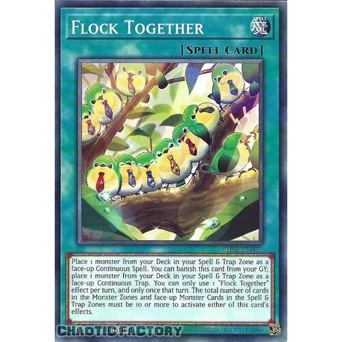 PHNI-EN072 Flock Together Common 1st Edition NM