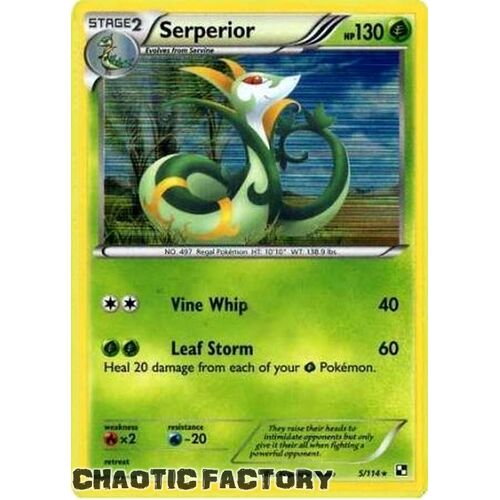 Serperior - 5/114 - Holo Rare NM