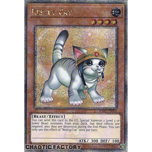 Quarter Century Secret Rare RA02-EN001 Rescue Cat (alternate art) 1st Edition NM