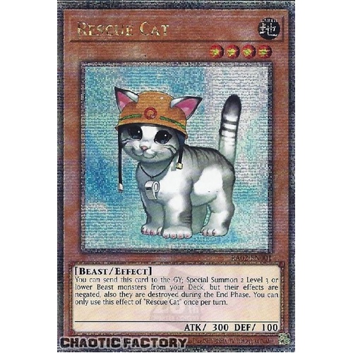 Quarter Century Secret Rare RA02-EN001 Rescue Cat 1st Edition NM