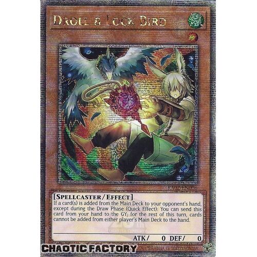 Quarter Century Secret Rare RA02-EN006 Droll & Lock Bird (alternate art) 1st Edition NM