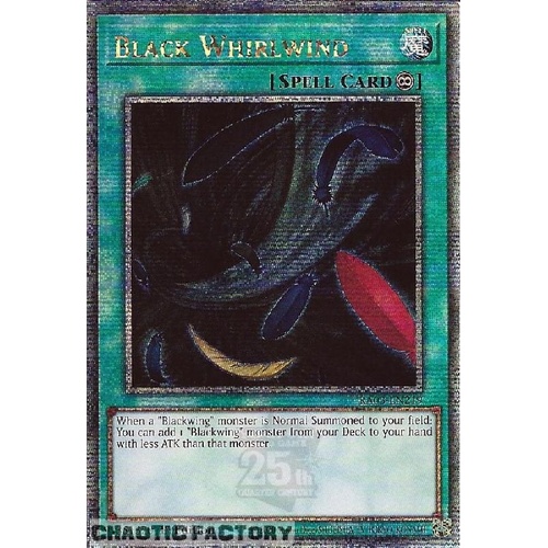 RA03-EN219 Black Whirlwind Quarter Century Secret Rare 1st Edition NM
