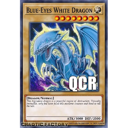 RA04-EN108 Blue-Eyes White Dragon MP22 ART Quarter Century Secret Rare 1st Edition NM