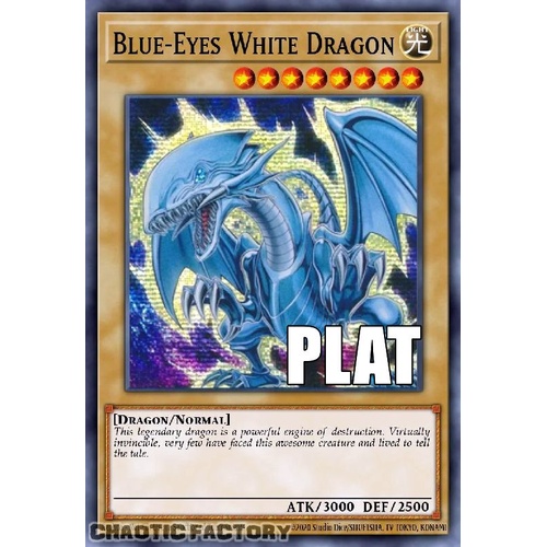RA04-EN108 Blue-Eyes White Dragon MP22 ART Platinum Secret Rare 1st Edition NM