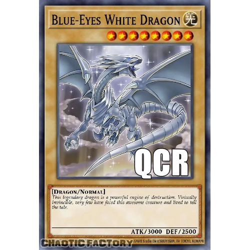 RA04-EN108 Blue-Eyes White Dragon MVP1 ART Quarter Century Secret Rare 1st Edition NM