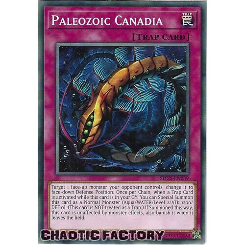 SDCS-EN039 Paleozoic Canadia Common 1st Edition NM