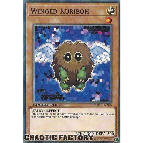 SGX1-ENA06 Winged Kuriboh Common 1st Edition NM