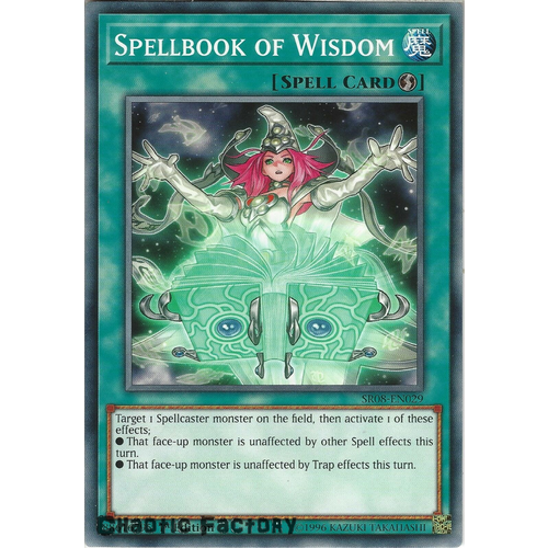 Yugioh SR08-EN029 Spellbook of Wisdom Common 1st Edition NM