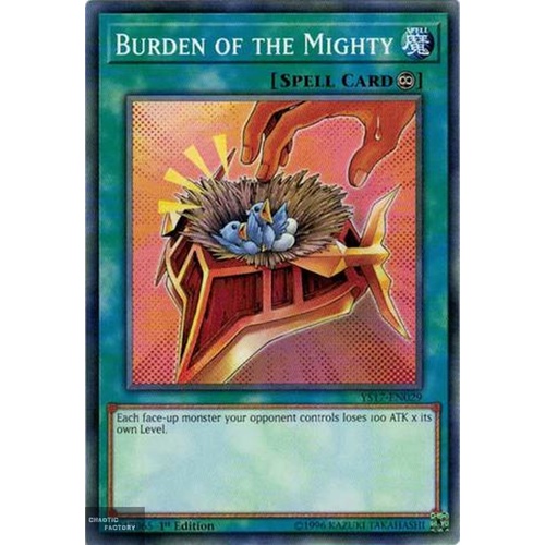Yugioh YS17-EN029 Burden of the Mighty Common 1st Edition