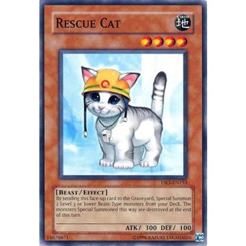 Rescue Cat DR3-EN153 NM